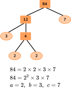 Factor Trees image 38 US