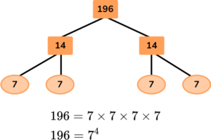 Factor Trees image 39 US