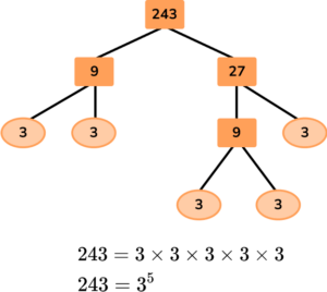 Factor Trees image 41 US