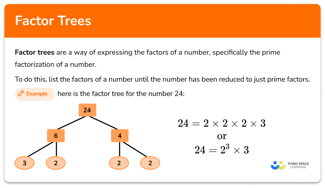 Factor tree