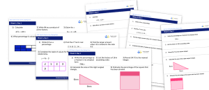 Year 8 Fluent in Five (Spring Term – Weeks 1 to 12)