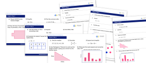 Year 9 Fluent in Five (Spring Term – Weeks 1 to 12)